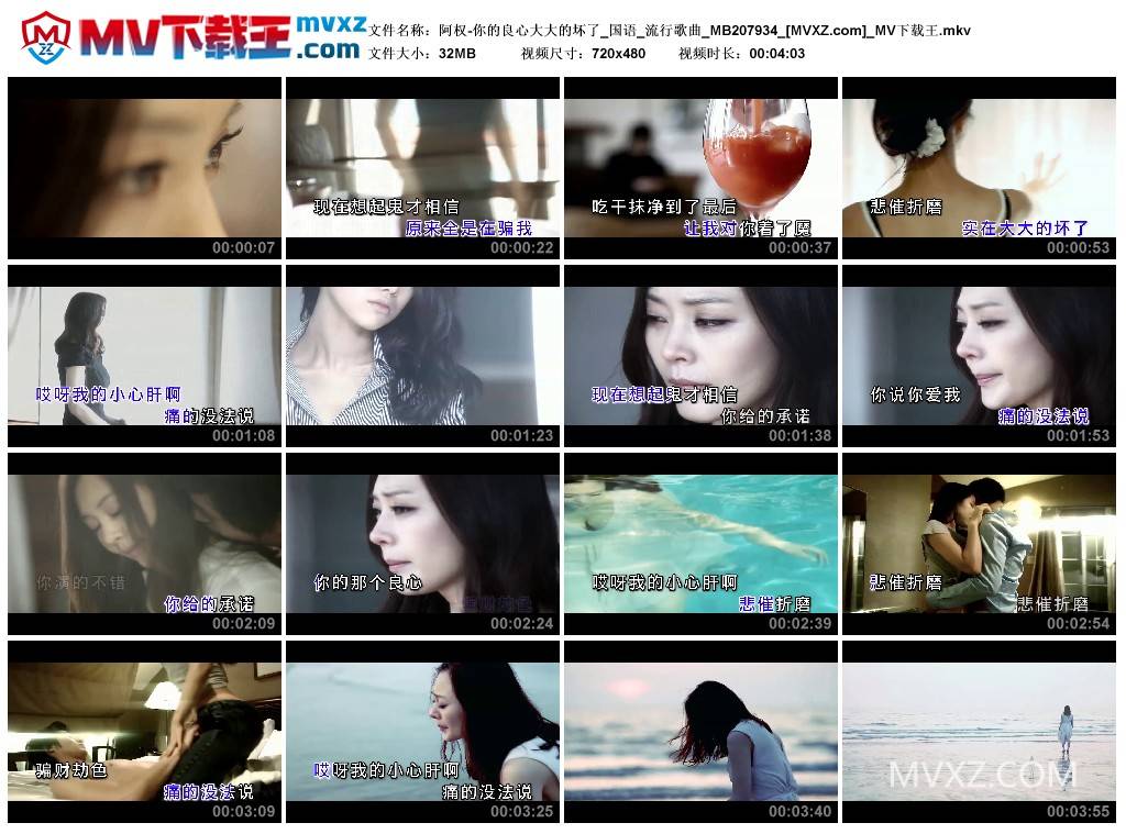 阿权-你的良心大大的坏了_国语_流行歌曲_MB207934